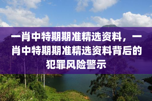 一肖中特期期准精选资料，一肖中特期期准精选资料背后的犯罪风险警示
