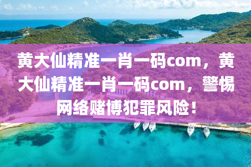 黄大仙精准一肖一码com，黄大仙精准一肖一码com，警惕网络赌博犯罪风险！