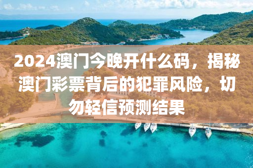 2024年12月15日 第50页