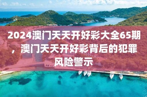 2024澳门天天开好彩大全65期，澳门天天开好彩背后的犯罪风险警示