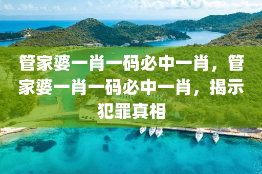 管家婆一肖一码必中一肖，管家婆一肖一码必中一肖，揭示犯罪真相