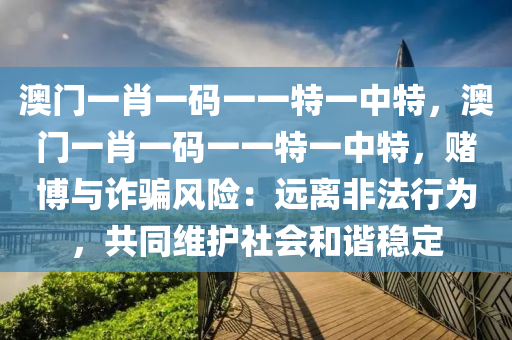 澳门一肖一码一一特一中特，澳门一肖一码一一特一中特，赌博与诈骗风险：远离非法行为，共同维护社会和谐稳定