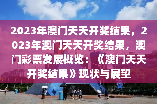 2024年12月23日 第24页
