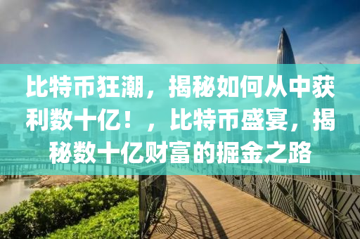 比特币狂潮，揭秘如何从中获利数十亿！，比特币盛宴，揭秘数十亿财富的掘金之路