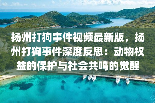 扬州打狗事件视频最新版，扬州打狗事件深度反思：动物权益的保护与社会共鸣的觉醒