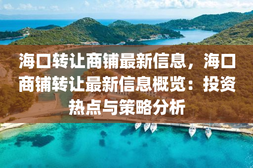 海口转让商铺最新信息，海口商铺转让最新信息概览：投资热点与策略分析