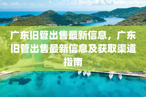 广东旧管出售最新信息，广东旧管出售最新信息及获取渠道指南