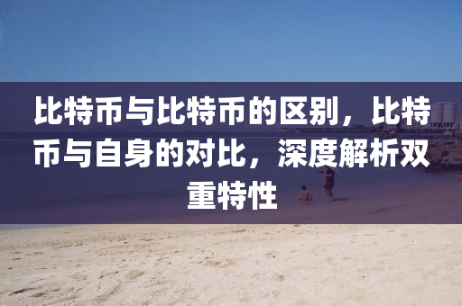 比特币与比特币的区别，比特币与自身的对比，深度解析双重特性