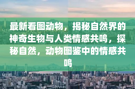 最新看图动物，揭秘自然界的神奇生物与人类情感共鸣，探秘自然，动物图鉴中的情感共鸣