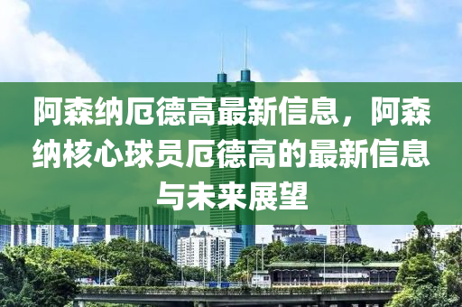 阿森纳厄德高最新信息，阿森纳核心球员厄德高的最新信息与未来展望