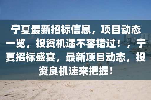 宁夏最新招标信息，项目动态一览，投资机遇不容错过！，宁夏招标盛宴，最新项目动态，投资良机速来把握！