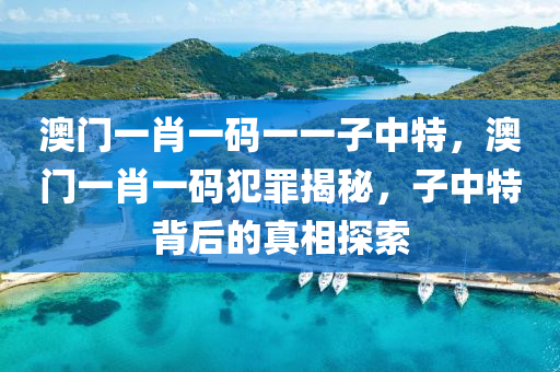 澳门一肖一码一一子中特，澳门一肖一码犯罪揭秘，子中特背后的真相探索