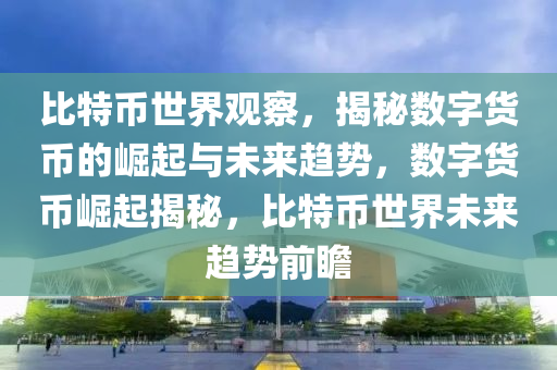 比特币世界观察，揭秘数字货币的崛起与未来趋势，数字货币崛起揭秘，比特币世界未来趋势前瞻