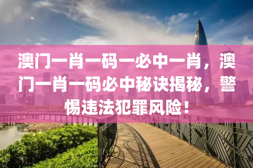 澳门一肖一码一必中一肖，澳门一肖一码必中秘诀揭秘，警惕违法犯罪风险！