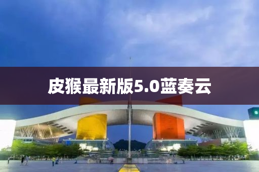 皮猴最新版5.0蓝奏云