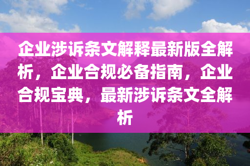 企业涉诉条文解释最新版全解析，企业合规必备指南，企业合规宝典，最新涉诉条文全解析