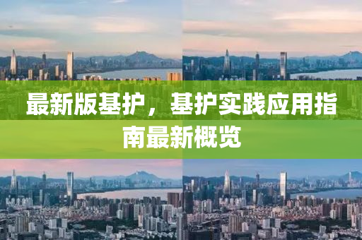 最新版基护，基护实践应用指南最新概览
