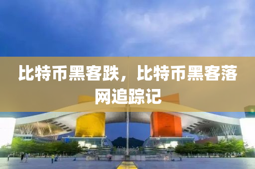 比特币黑客跌，比特币黑客落网追踪记