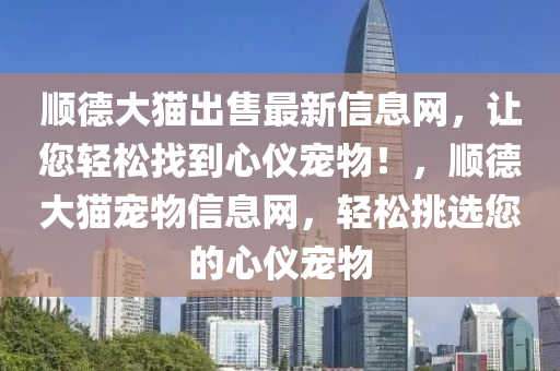 顺德大猫出售最新信息网，让您轻松找到心仪宠物！，顺德大猫宠物信息网，轻松挑选您的心仪宠物