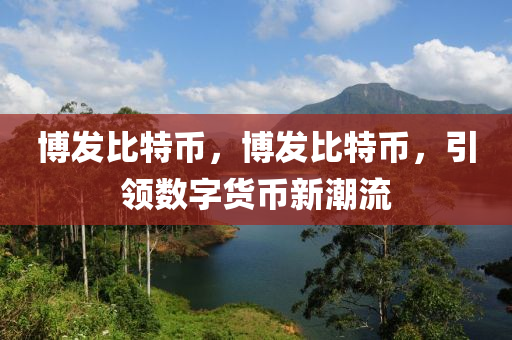 博发比特币，博发比特币，引领数字货币新潮流