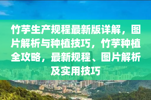 竹芋生产规程最新版详解，图片解析与种植技巧，竹芋种植全攻略，最新规程、图片解析及实用技巧