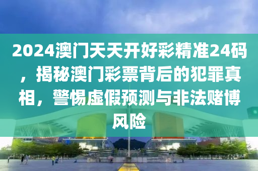 2024年12月4日 第13页