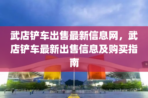 武店铲车出售最新信息网，武店铲车最新出售信息及购买指南