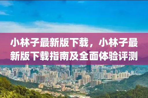 小林子最新版下载，小林子最新版下载指南及全面体验评测