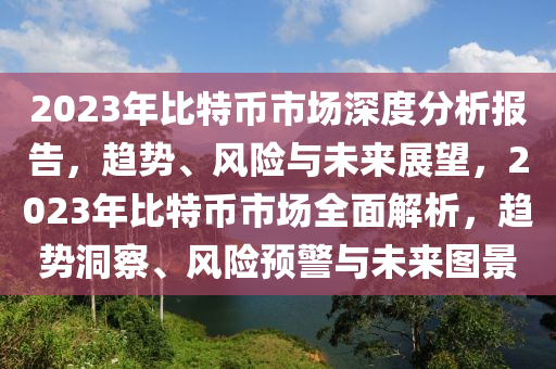 2023年比特币市场深度分析报告，趋势、风险与未来展望，2023年比特币市场全面解析，趋势洞察、风险预警与未来图景