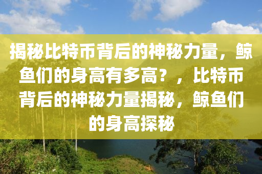 揭秘比特币背后的神秘力量，鲸鱼们的身高有多高？，比特币背后的神秘力量揭秘，鲸鱼们的身高探秘