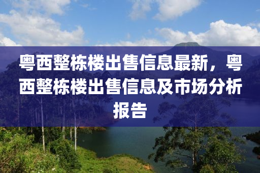粤西整栋楼出售信息最新，粤西整栋楼出售信息及市场分析报告