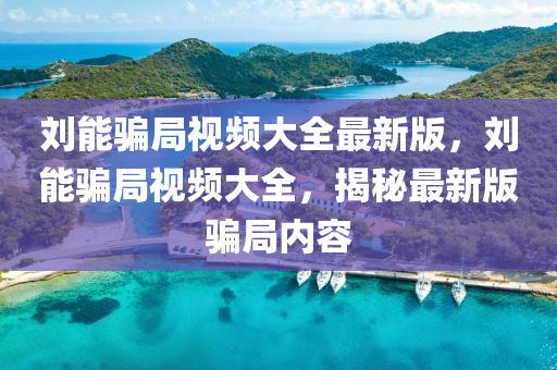 刘能骗局视频大全最新版，刘能骗局视频大全，揭秘最新版骗局内容