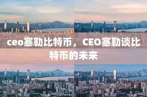 ceo塞勒比特币，CEO塞勒谈比特币的未来