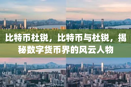 比特币杜锐，比特币与杜锐，揭秘数字货币界的风云人物