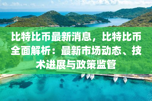 比特比币最新消息，比特比币全面解析：最新市场动态、技术进展与政策监管