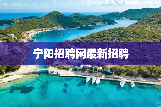 宁阳招聘网最新招聘