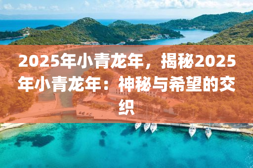 2025年小青龙年，揭秘2025年小青龙年：神秘与希望的交织
