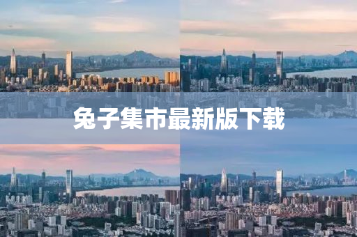 兔子集市最新版下载