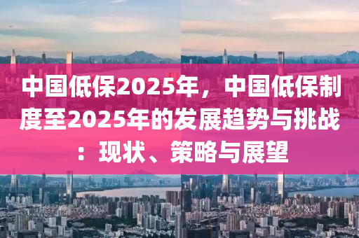 中国低保2025年，中国低保制度至2025年的发展趋势与挑战：现状、策略与展望