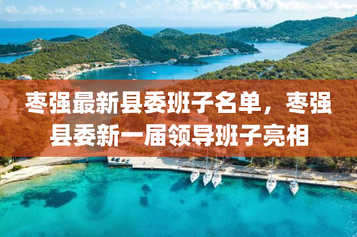 枣强最新县委班子名单，枣强县委新一届领导班子亮相