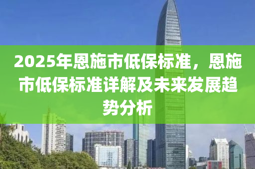 2025年恩施市低保标准，恩施市低保标准详解及未来发展趋势分析
