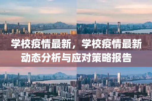 学校疫情最新，学校疫情最新动态分析与应对策略报告
