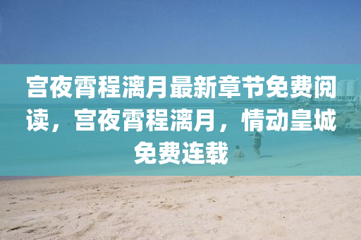 宫夜霄程漓月最新章节免费阅读，宫夜霄程漓月，情动皇城免费连载