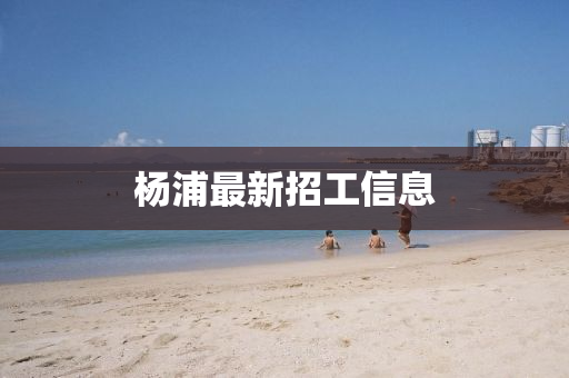 杨浦最新招工信息