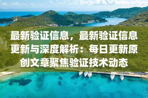 最新验证信息，最新验证信息更新与深度解析：每日更新原创文章聚焦验证技术动态