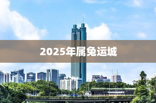 2025年属兔运城