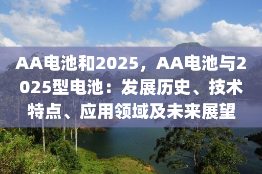 AA电池和2025，AA电池与2025型电池：发展历史、技术特点、应用领域及未来展望