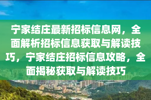 宁家结庄最新招标信息网，全面解析招标信息获取与解读技巧，宁家结庄招标信息攻略，全面揭秘获取与解读技巧
