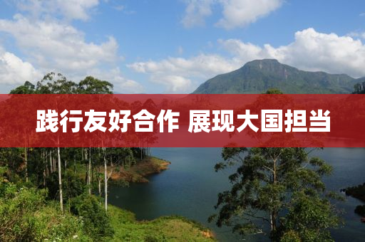 践行友好合作 展现大国担当