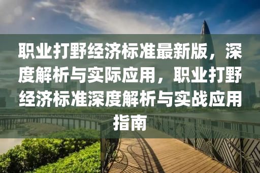 职业打野经济标准最新版，深度解析与实际应用，职业打野经济标准深度解析与实战应用指南